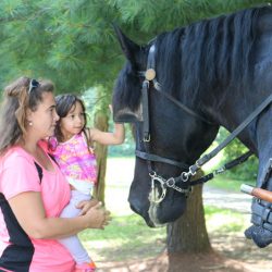 little girl petting a horse